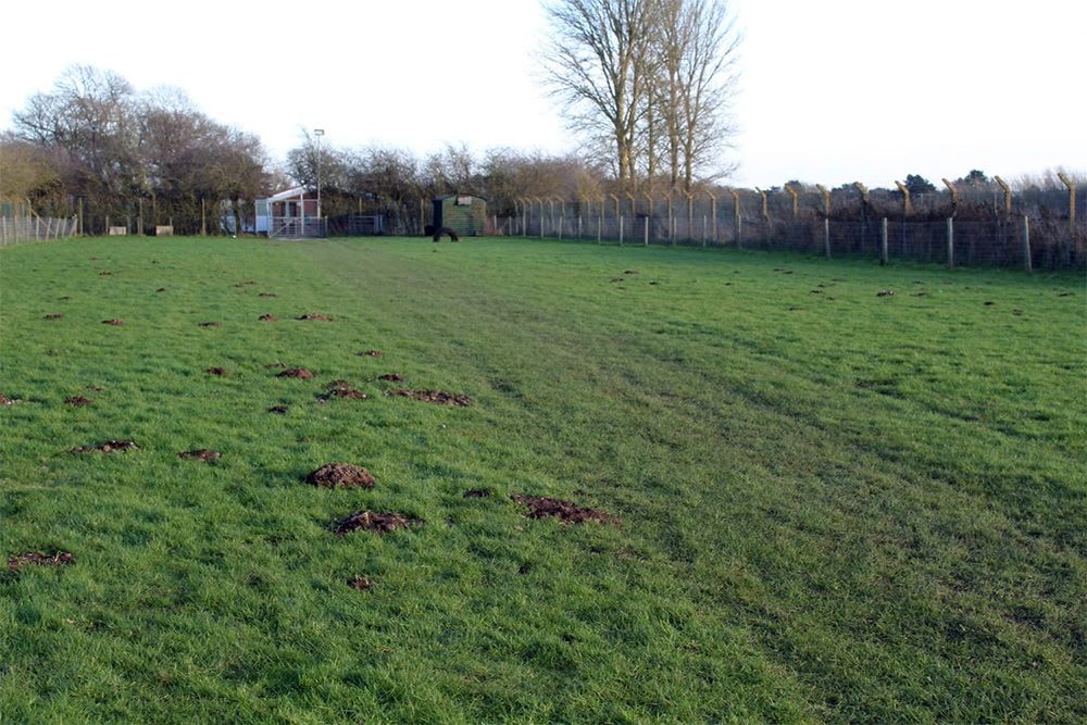 RSPCA Doncaster and Rotherham dog field