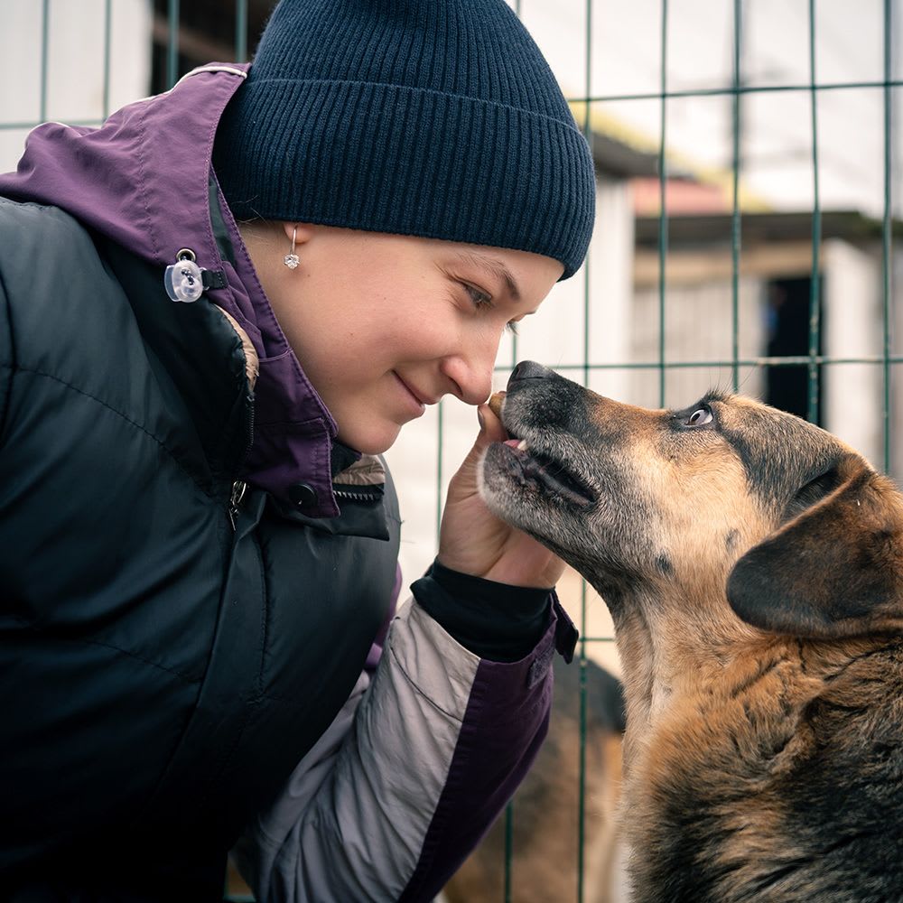 Sponsor a dog kennel