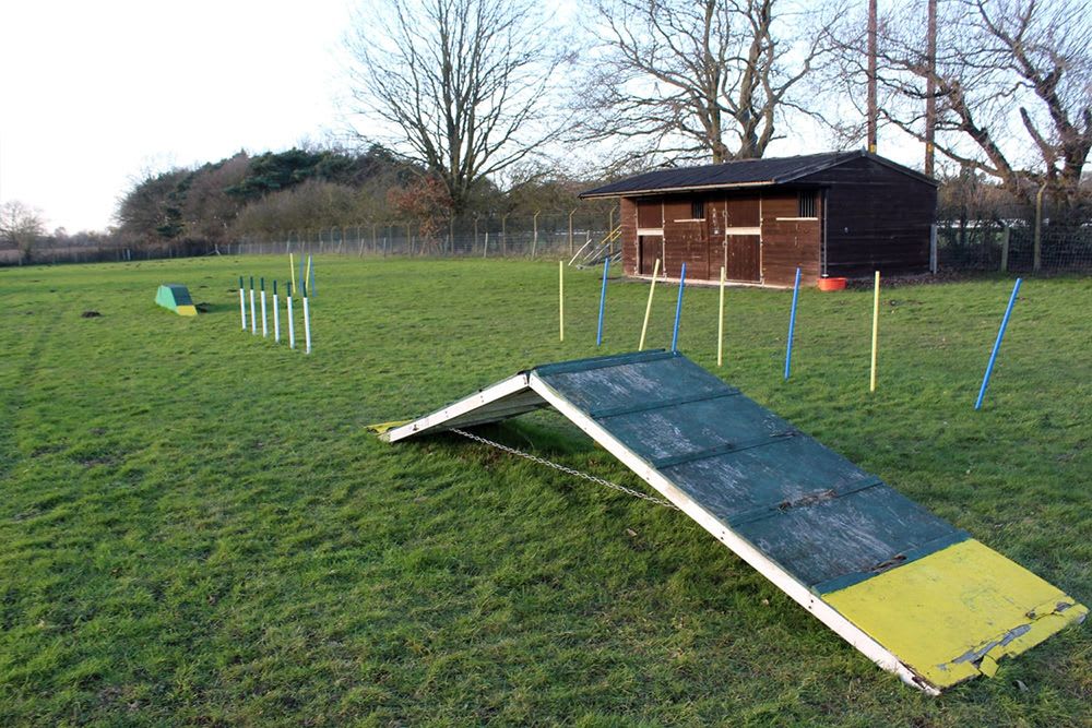 RSPCA Doncaster and Rotherham dog field